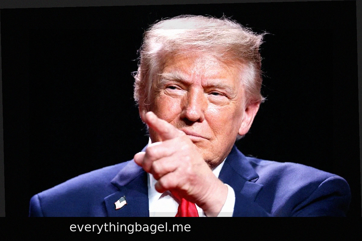 Democrats Sue Trump Over Campaign Financing